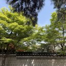 식풍경감자탕 | 맛집 나들이 :: 천하보쌈, 오늘의집 쇼룸 북촌, 리와인드 서울, 교보문고 광화문점, 커피원 샌드위치 후기