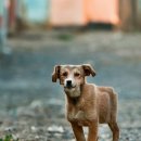 네모네모 이미지