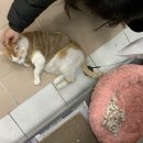 로그인 청주 율량점 이미지