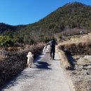 카페 첨산 이미지