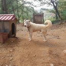 자룡농장 이미지