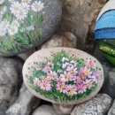 달기샘마을 이미지