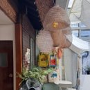 와로롯콜렉티브
