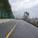 아프리카돼지열병(ASF) 차단 울타리, 6년 만에 단계적 철거. 이르면 내년 1월 설악산국립공원 권역(미시령옛길, 한계령)부터 이미지