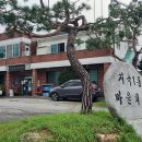 지곡1통 티스토리