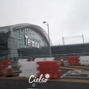 모하디네일