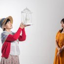 노파도 티스토리