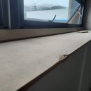 01-71 동구 | 김천 도배 | 은행 농협 '방염 벽지' 시공! 대구도배공주가 각대(코너비드)로 칼각 살린 관공서 도배마감