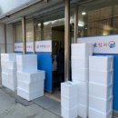 태백골김치 이미지