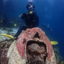 노블레스 스킨 이미지