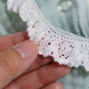 뷰티 앤 독 이미지