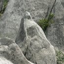 파랑새공원 이미지