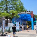 용인 에버랜드 워터페스티발 오픈했어요 여름 물놀이존 워터팡팡 어드벤처 후기