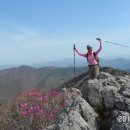 식적(食積), 음식이 병을 부른다 이미지