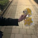 후포식당 이미지