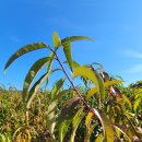 (주)이원환경 이미지