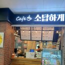 소답하게