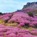 뚱땡이네 이미지