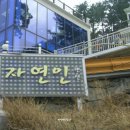 자연인관광펜션 이미지