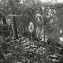 군평초등학교 이미지