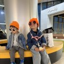 [내돈내산] ✈️ 김포공항 간식 추천 달콤·트윗젤·빌라드샬롯카페 후기 (아이랑 여행 필수코스)