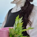 영광 매간당 고택 이미지