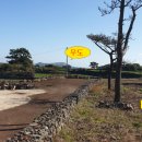 제주사랑공인중개사사무소 이미지