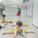 강신철 태권도 무인의 향기 태권도장 이미지