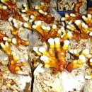 영지2농장 이미지