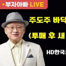 [부자아빠열린강좌] 주도주 바닥 발굴 차트기법 (투매 후 새 주도주 나온다) 이미지