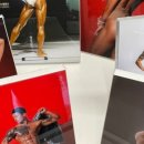 필로스짐 이미지