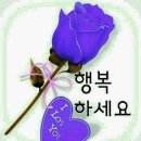 5월 이미지