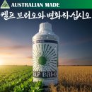 대동유통