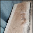 삶에 자연을 채우다 이미지