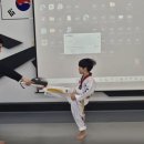 용인대 국가대표 태권도스쿨 이미지