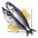 자반고등어 이미지