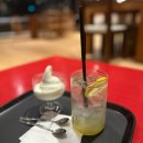 016-2 | [016] 벌써 꽃이 피기 시작한 3월 마무리