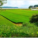 당산4리 마을회관 이미지