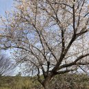 백수주유소 이미지