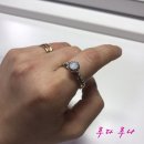 유카플라워&가든 | [데일리] 또 한달, 벌써 4월이 다가오네요