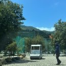 운주좋은날 | 여름 피난처) 대전 근교 계곡 추천, 운주계곡 솔밭가든