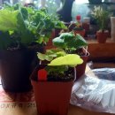 미소스토어샵 이미지