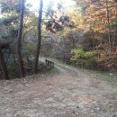 이태영농장 이미지