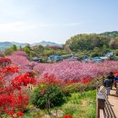 완산공원(아래) 이미지