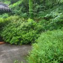 누에머리공원 화장실 이미지