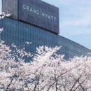 서울미라마(유)그랜드하얏트서울 이미지