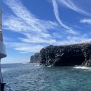 별장집 | 제주여행 쯔양이 방문한 짜장면집 마라도 별장식당 짜장면 탕수육 솔직후기