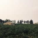 광령초등학교 병설유치원 이미지