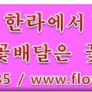 웅&영스토어