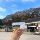 영월 인 더 나이트 | 영화 <왕과 사는 남자> 단종, 영월 당일치기